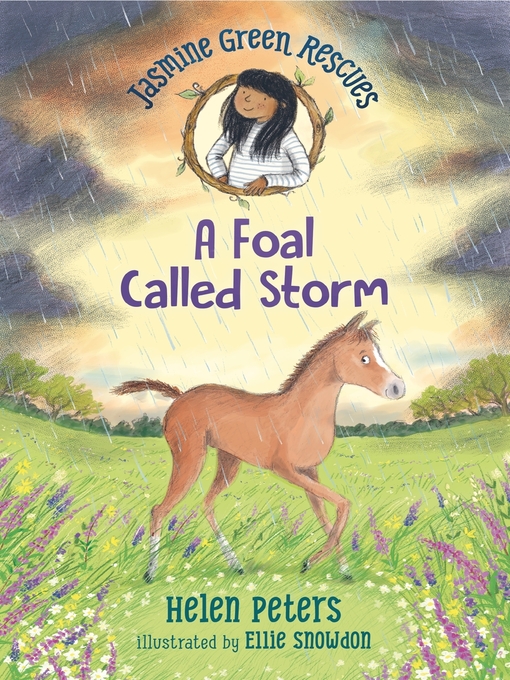 Title details for A Foal Called Storm by Helen Peters - Wait list